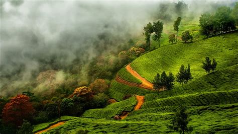 Kerala